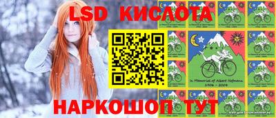 сатива Будённовск