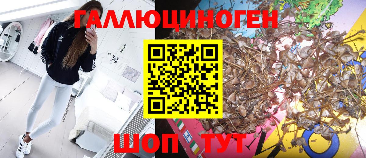 Ульяновск  Галлюциногенные грибы мухоморы  Вход с VPN 